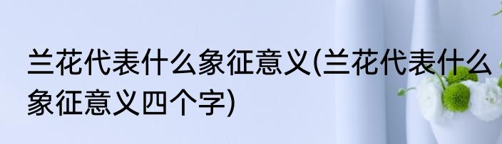兰花代表什么象征意义(兰花代表什么象征意义四个字)