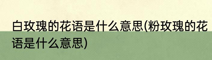 白玫瑰的花语是什么意思(粉玫瑰的花语是什么意思)