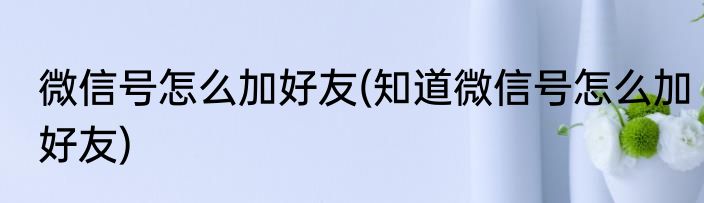 微信号怎么加好友(知道微信号怎么加好友)