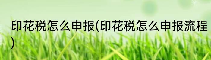 印花税怎么申报(印花税怎么申报流程)