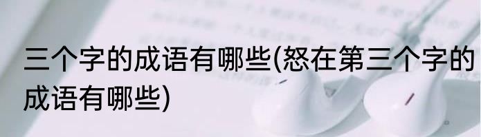 三个字的成语有哪些(怒在第三个字的成语有哪些)