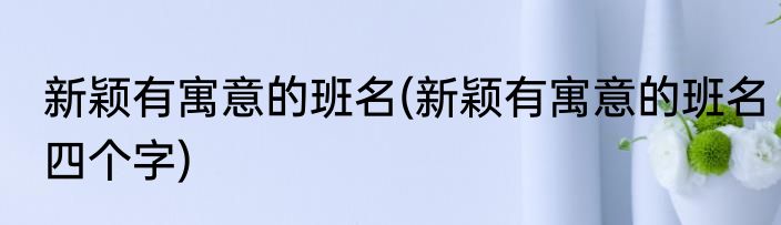 新颖有寓意的班名(新颖有寓意的班名四个字)