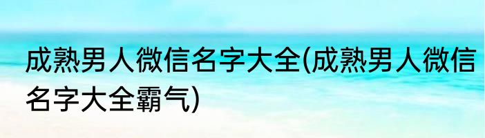 成熟男人微信名字大全(成熟男人微信名字大全霸气)
