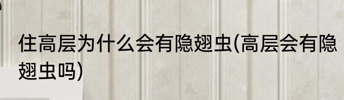 住高层为什么会有隐翅虫(高层会有隐翅虫吗)