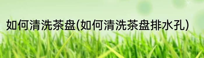 如何清洗茶盘(如何清洗茶盘排水孔)