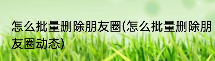 怎么批量删除朋友圈(怎么批量删除朋友圈动态)