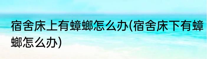 宿舍床上有蟑螂怎么办(宿舍床下有蟑螂怎么办)