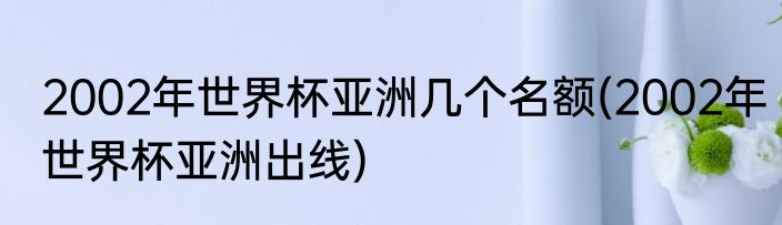 2002年世界杯亚洲几个名额(2002年世界杯亚洲出线)