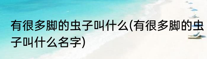 有很多脚的虫子叫什么(有很多脚的虫子叫什么名字)