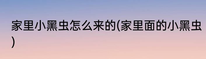 家里小黑虫怎么来的(家里面的小黑虫)