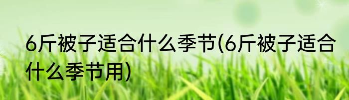 6斤被子适合什么季节(6斤被子适合什么季节用)