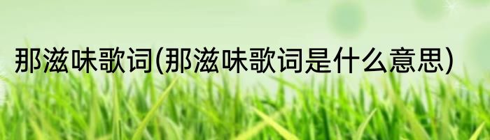 那滋味歌词(那滋味歌词是什么意思)