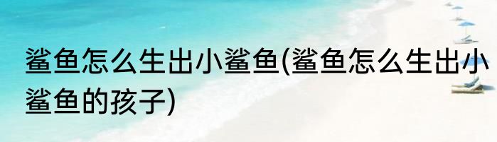 鲨鱼怎么生出小鲨鱼(鲨鱼怎么生出小鲨鱼的孩子)