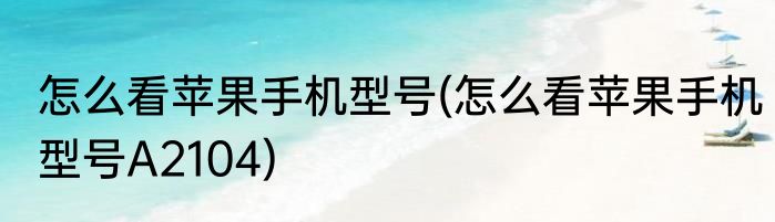 怎么看苹果手机型号(怎么看苹果手机型号A2104)