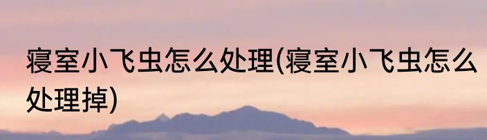 寝室小飞虫怎么处理(寝室小飞虫怎么处理掉)
