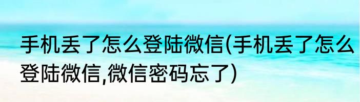 手机丢了怎么登陆微信(手机丢了怎么登陆微信,微信密码忘了)