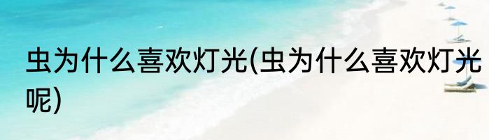虫为什么喜欢灯光(虫为什么喜欢灯光呢)