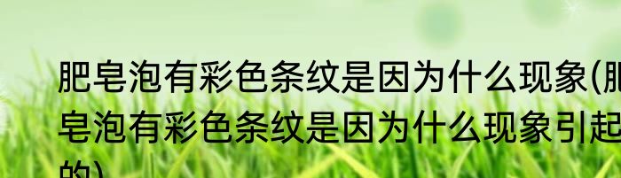 肥皂泡有彩色条纹是因为什么现象(肥皂泡有彩色条纹是因为什么现象引起的)