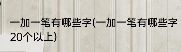 一加一笔有哪些字(一加一笔有哪些字20个以上)