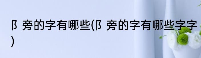 阝旁的字有哪些(阝旁的字有哪些字字)