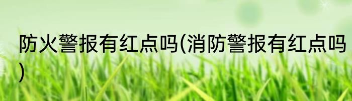 防火警报有红点吗(消防警报有红点吗)
