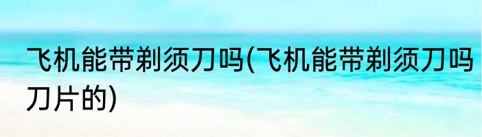 飞机能带剃须刀吗(飞机能带剃须刀吗刀片的)