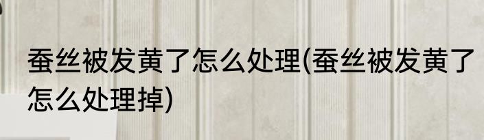 蚕丝被发黄了怎么处理(蚕丝被发黄了怎么处理掉)