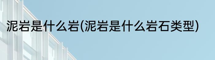 泥岩是什么岩(泥岩是什么岩石类型)