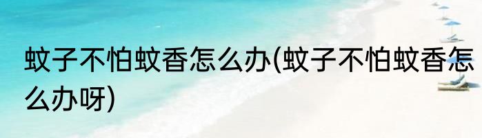 蚊子不怕蚊香怎么办(蚊子不怕蚊香怎么办呀)