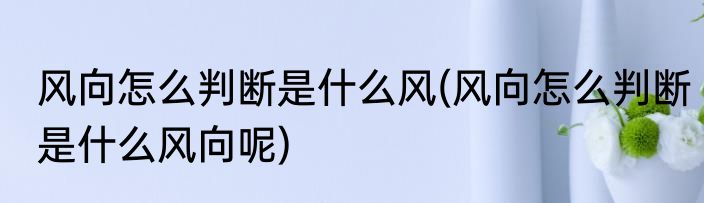 风向怎么判断是什么风(风向怎么判断是什么风向呢)