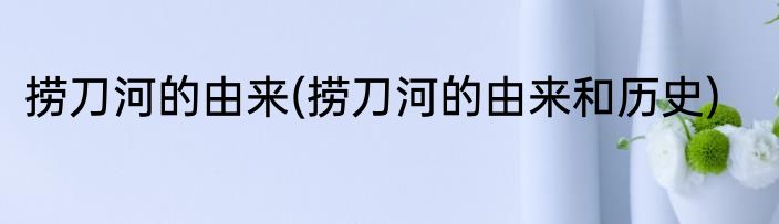 捞刀河的由来(捞刀河的由来和历史)
