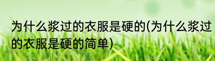 为什么浆过的衣服是硬的(为什么浆过的衣服是硬的简单)