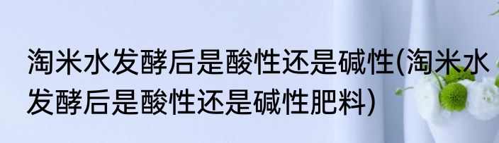 淘米水发酵后是酸性还是碱性(淘米水发酵后是酸性还是碱性肥料)