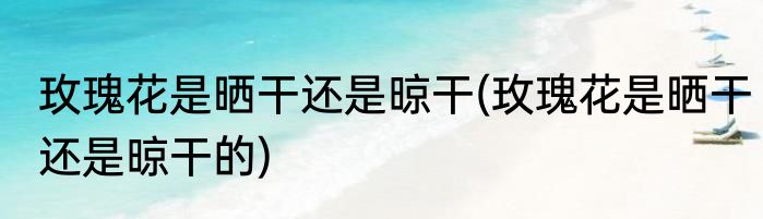 玫瑰花是晒干还是晾干(玫瑰花是晒干还是晾干的)