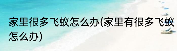 家里很多飞蚁怎么办(家里有很多飞蚁怎么办)
