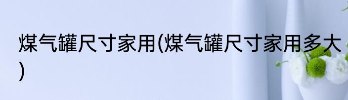 煤气罐尺寸家用(煤气罐尺寸家用多大)