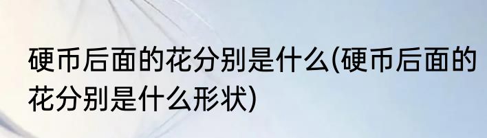 硬币后面的花分别是什么(硬币后面的花分别是什么形状)