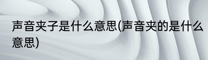 声音夹子是什么意思(声音夹的是什么意思)