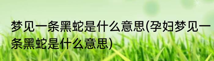 梦见一条黑蛇是什么意思(孕妇梦见一条黑蛇是什么意思)