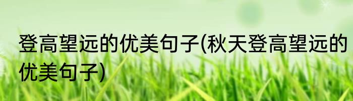 登高望远的优美句子(秋天登高望远的优美句子)