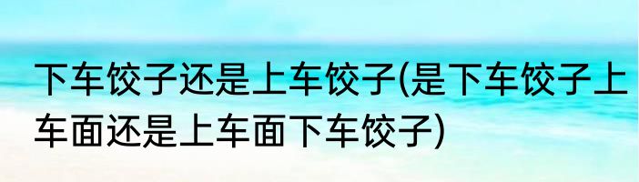 下车饺子还是上车饺子(是下车饺子上车面还是上车面下车饺子)