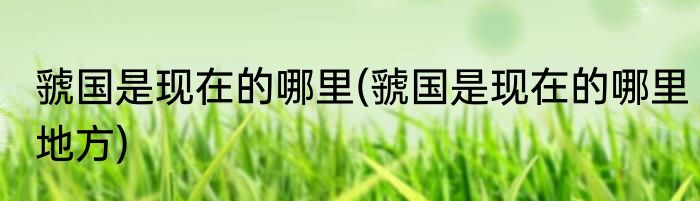 虢国是现在的哪里(虢国是现在的哪里地方)