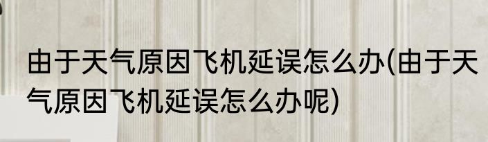 由于天气原因飞机延误怎么办(由于天气原因飞机延误怎么办呢)