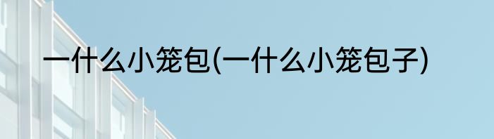 一什么小笼包(一什么小笼包子)