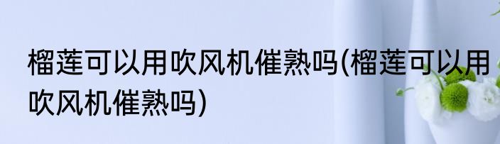 榴莲可以用吹风机催熟吗(榴莲可以用吹风机催熟吗)