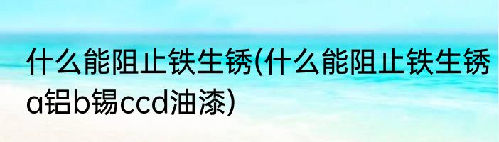 什么能阻止铁生锈(什么能阻止铁生锈a铝b锡ccd油漆)