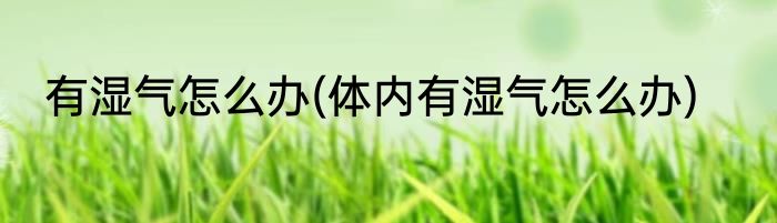 有湿气怎么办(体内有湿气怎么办)