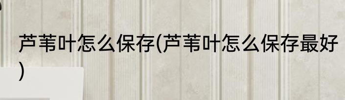 芦苇叶怎么保存(芦苇叶怎么保存最好)