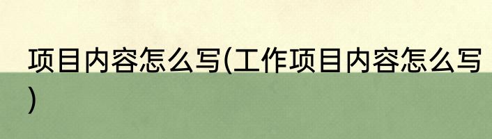 项目内容怎么写(工作项目内容怎么写)