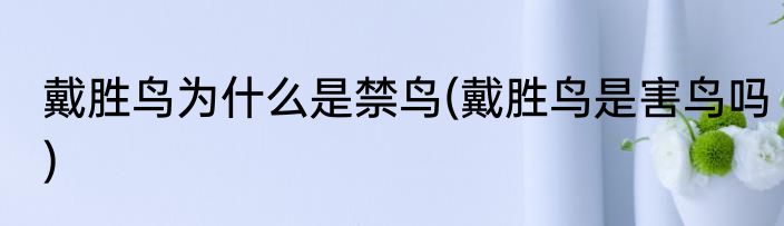 戴胜鸟为什么是禁鸟(戴胜鸟是害鸟吗)